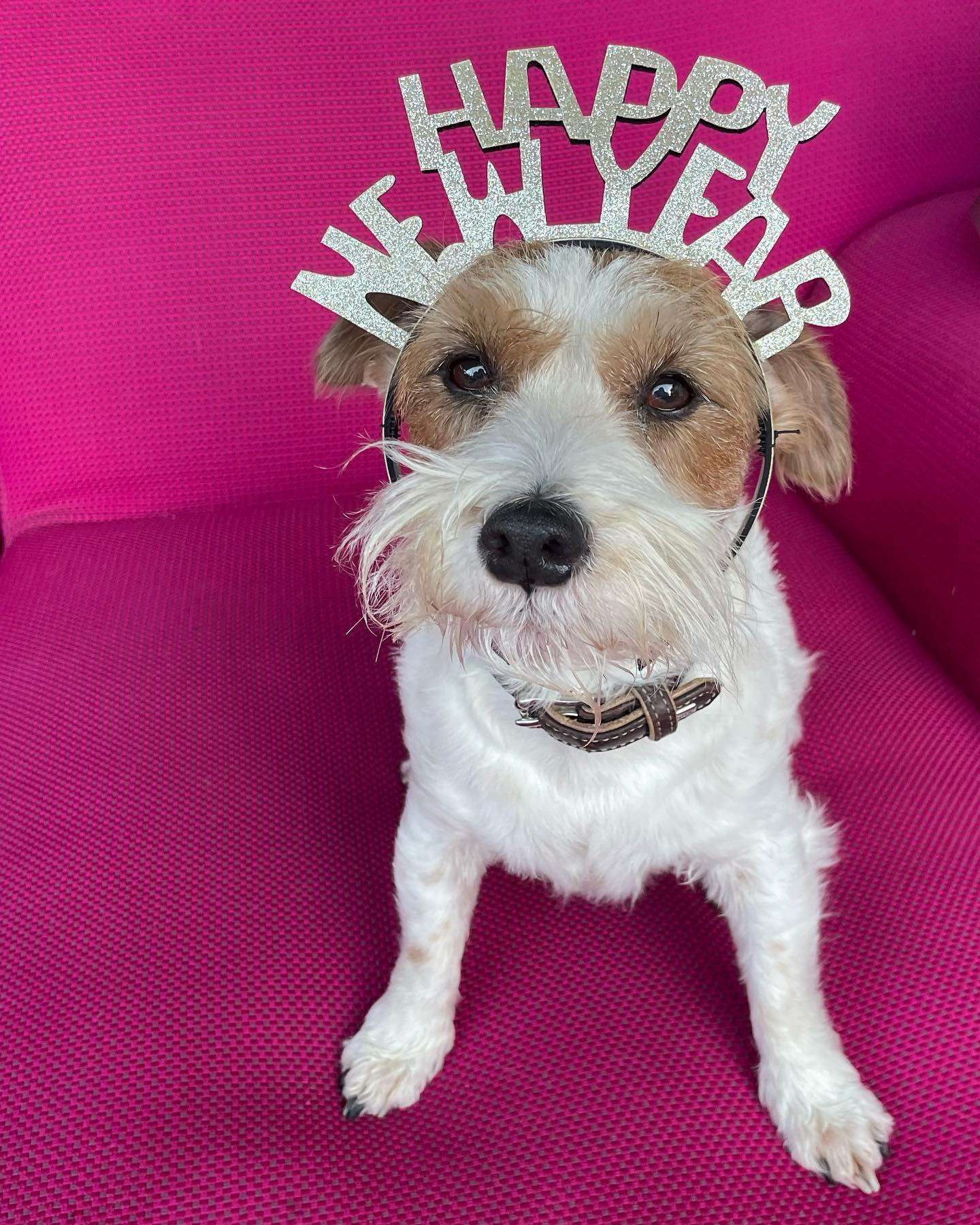 #happynewyear #hope #confidence # new-Ways4Change wünscht einen Hoffnungsvollen und zuversichtlichen Start ins Neue Jahr # Hindernisse blockieren nicht den Weg, die sind der Weg # Holt euch Zuversicht mit unserer Podcast Serie Belly up! # https://new-ways4change.de/podcast